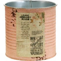 Itens Vaso de flores decorativo de lata salmão metal decoração de verão Ø11cm H10.5cm