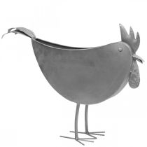 Itens Floreira galinha metal pássaro zinco metal decoração 51×16×37cm
