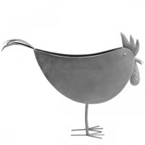 Itens Floreira galinha metal pássaro zinco metal decoração 51×16×37cm
