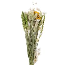 Itens Buquê de flores secas, elegante buquê de flores secas para sala de estar, 50cm