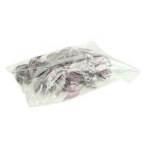 Itens Brachyciton amora congelada 500g