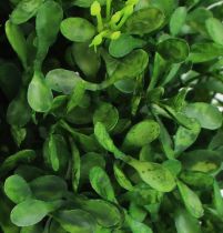 Bola de caixa Ø12cm decoração de plantas verdes artificiais