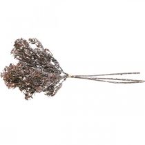 Itens Plantas artificiais marrom decoração de outono decoração de inverno Drylook 38cm 3 peças