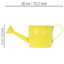 Itens Regador decorativo colorido, Ø11cm, A9,5cm, para plantio, decoração de mesa na primavera, metal, conjunto de 8