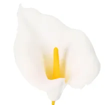Itens Copo-de-leite artificial com estames amarelos, flores decorativas, 35 cm, 10 peças