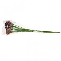 Itens Flores artificiais Calla vermelho bordeaux em ramo 57 cm 12 unid.