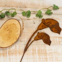 Itens Estaca de jardim em forma de flor de copo-de-leite, ferrugem, para túmulos e arranjos florais, 25 cm, 6 unidades.
