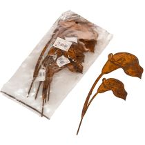 Itens Estaca de jardim em forma de flor de copo-de-leite, ferrugem, para túmulos e arranjos florais, 25 cm, 6 unidades.