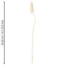 Itens Cone de Cana branqueado 25 unidades