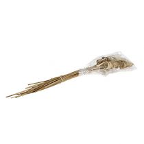 Itens Cone de cana natural 25 unidades