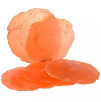 Itens Cascas de Capiz Fatias de Capiz Fatias de madrepérola laranja 7,5–9,5cm 300g