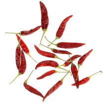 Chilis vermelho curto Chili 250g