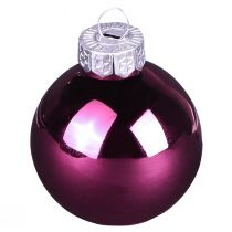 Itens Bolas de árvore de Natal bolas de vidro Berry Mix Ø5cm 24 unidades Berry rosa bege creme brilhante