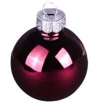 Itens Bolas de árvore de Natal bolas de vidro Berry Mix Ø5cm 24 unidades Berry rosa bege creme brilhante