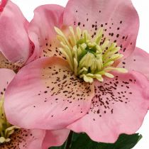 Rosa de Natal, rosa quaresmal, heléboro, plantas artificiais rosa L34cm 4pcs