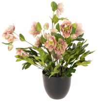 Itens Planta artificial de heléboro em vaso, rosa de Natal, para decoração de casa, 50 cm