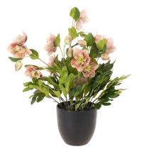 Itens Planta artificial de heléboro em vaso, rosa de Natal, para decoração de casa, 50 cm