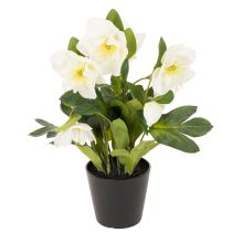 Itens Rosa de Natal artificial, flor em vaso, decoração de mesa, 34 cm