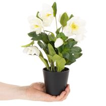 Itens Rosa de Natal artificial, flor em vaso, decoração de mesa, 34 cm