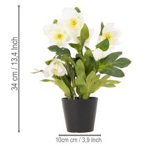 Itens Rosa de Natal artificial, flor em vaso, decoração de mesa, 34 cm