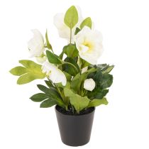 Itens Rosa de Natal artificial, flor em vaso, decoração de mesa, 34 cm
