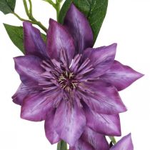 Clematis artificial, flor de seda, ramo decorativo com flores de clematis violeta C84cm