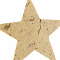 Itens Coconut star nature 5cm 50pcs decoração de Natal decoração de mesa