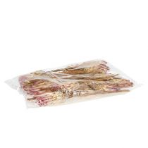 Itens Compacta Rosa 25 un