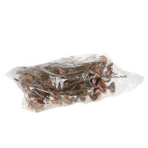 Itens Roseta Compacta 100 un