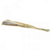 Itens Gramíneas secas Capim-dos-pampas, maço natural 80cm 100g