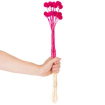 Itens Arranjo de flores secas de Craspedia para arranjos florais, 55 cm, 20 peças