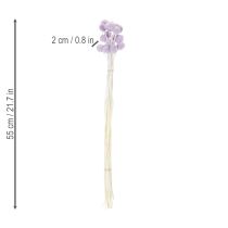 Itens Arranjo de flores secas de Craspedia para decoração de mesa moderna em sua casa, 55cm, 20 peças.