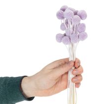 Itens Arranjo de flores secas de Craspedia para decoração de mesa moderna em sua casa, 55cm, 20 peças.