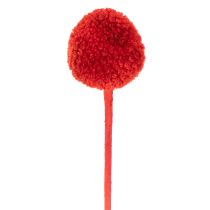 Itens Flores de Craspedia secas e tingidas, com hastes longas, 55 cm, 20 peças.