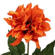 Dahlia Orange 28cm 4pcs