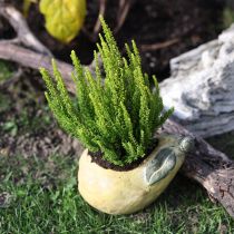 Itens Vaso decorativo de concreto para pera, decoração de outono 19×12,5×15,5 cm