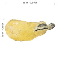 Itens Vaso decorativo para plantas de outono em concreto 25×13×11cm