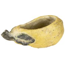 Itens Vaso decorativo para plantas de outono em concreto 25×13×11cm
