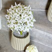 Itens Flor decorativa Allium, bola de alho-poró artificial, cebola decorativa branca Ø20cm C72cm