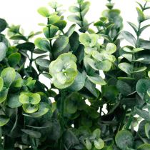 Ramo de eucalipto decorativo verde escuro plantas verdes artificiais de eucalipto 6 peças
