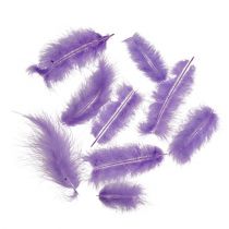 Itens Penas curtas 30g roxo claro