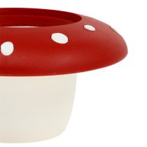 Cogumelo-cogumelo decorativo Ø6cm 11pcs