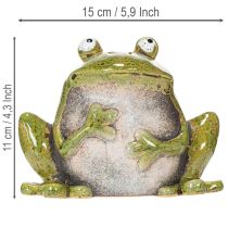 Itens Sapo decorativo de cerâmica verde e marrom estilo vintage, 15,5 cm de comprimento.