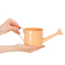 Itens Conjunto de regadores decorativos em tons pastel de salmão, verde e verde-amarelado - vasos de metal Ø11cm A10cm, 8 peças