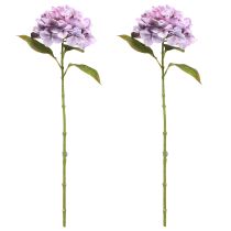 Itens Decoração Hortênsias Flores Artificiais Flor Roxa Ø18cm 69cm 2pcs