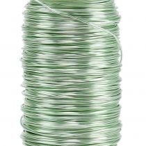 Itens Arame esmaltado Deco verde menta Ø0.50mm 50m 100g