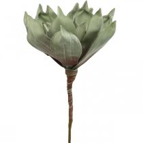 Flor de lótus Deco, flor de lótus, flor de seda verde L64cm