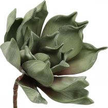 Flor de lótus Deco, flor de lótus, flor de seda verde L64cm