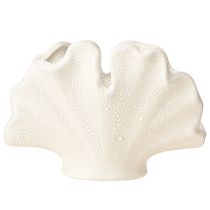 Itens Vaso decorativo concha mini vaso cerâmica creme 14×7,5×9,5cm