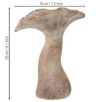 Itens Pedra fundida em forma de cogumelo decorativo decoração de outono cinza lavado 19×15cm H23cm